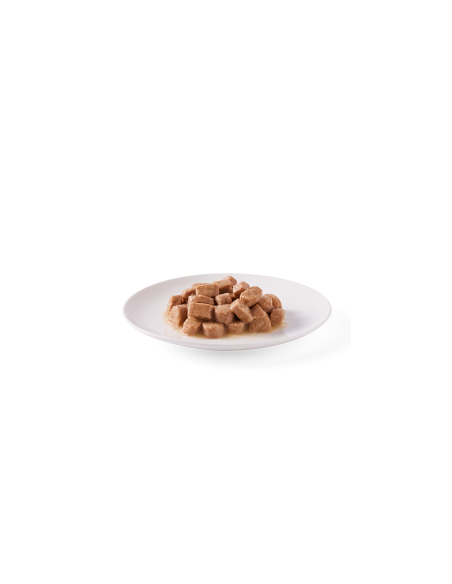 Paté Perros Pollo Ortiga y Tomate Eco  