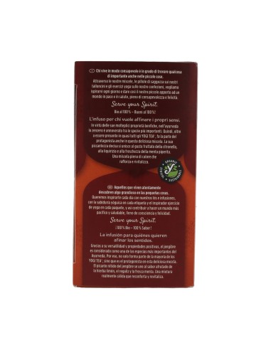 Infusión Jengibre BIO  