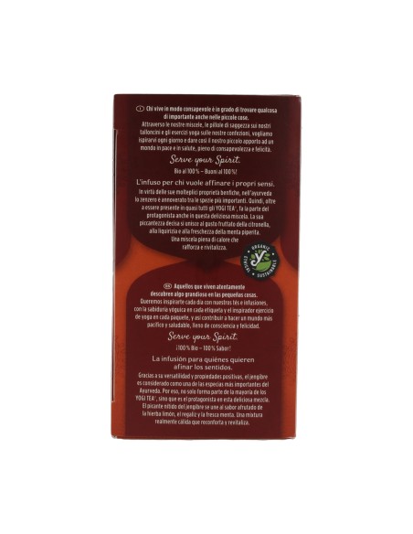 Infusión Jengibre BIO  