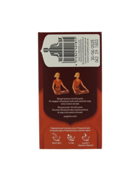 Infusión Jengibre BIO  