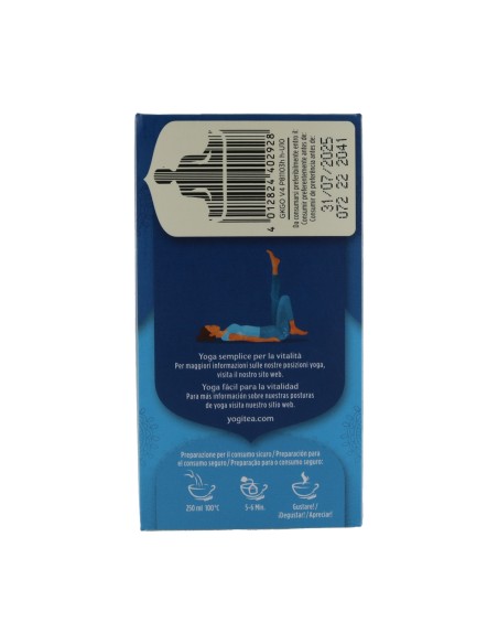 Infusión Ginkgo BIO  